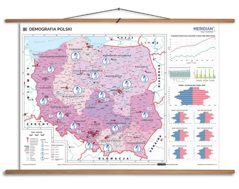 Demografia Polski Ścienna mapa do szkoły