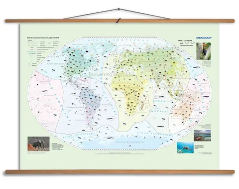 Ścienna mapa krain zoogeograficznych świata z fauną i endemitami do szkoły