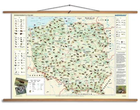Ścienna mapa zoogeografii Polski z fauną i gatunkami chronionymi