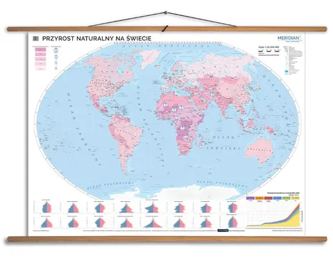 Ścienna mapa przyrostu naturalnego na świecie z piramidami wieku