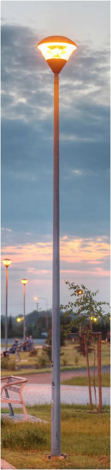 Słup oświetleniowy AURIGA P60 7m OC stalowy okrągły