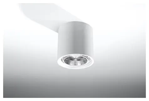 Spot ceramiczny KALU GU10/ES111 1x40W IP20 SL.0841 SOLLUX