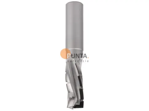 Aigner Frez diamentowy Z2 C439 C439.2048R.M2