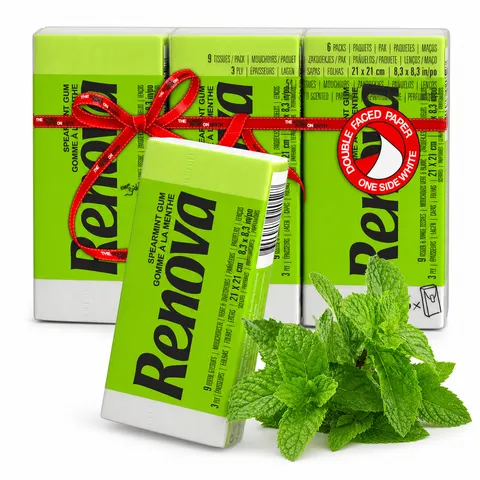 Chusteczki higieniczne Renova Green Spearmint 3-warstwowe 6×9 szt.