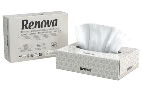 Chusteczki Higieniczne Renova BLK w Pudełku Mini 2-Warstwy 70 sztuk