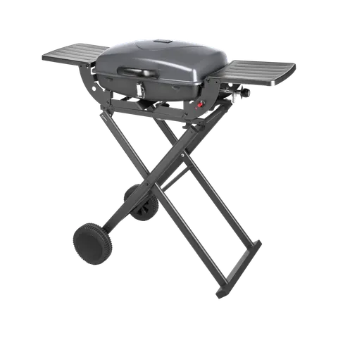 Przenośny grill gazowy Teesa BBQ-1000