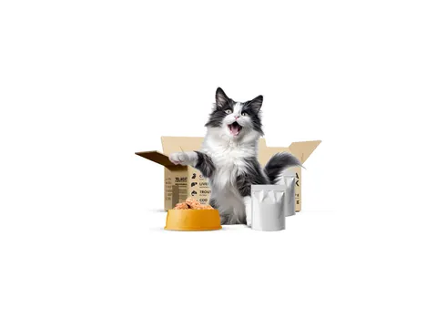 WowPaw BOX 40szt mix - karma dla kota saszetka - WowPaw
