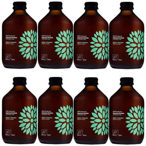 VIGO Kombucha BIO Ogórek+Kolendra 330ml 8 szt