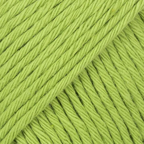Włóczka DROPS Paris 39 - wasabi