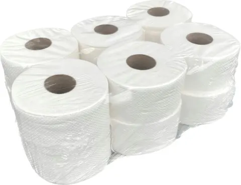 Papier toaletowy Jumbo - biały, celuloza, 2 warstwy, 100m x 12 rolek