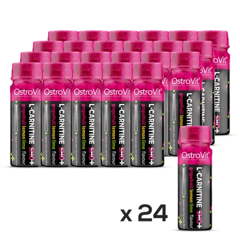 OstroVit L-carnitine SHOT (80 ml x24szt) Karnityna