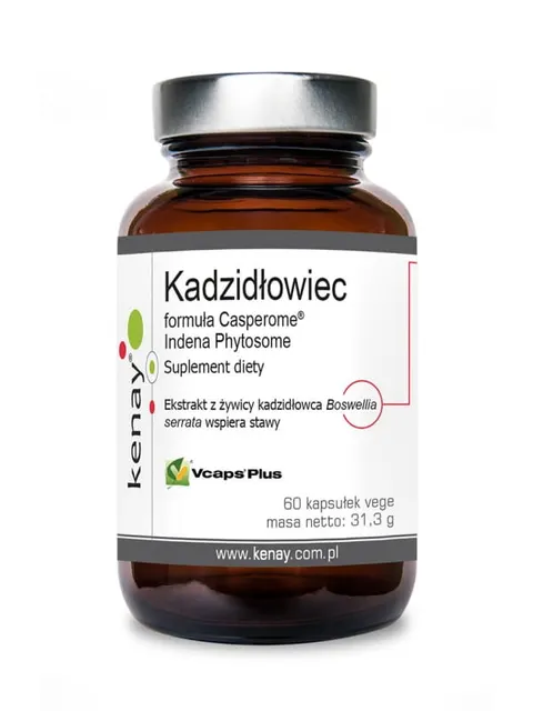 Kenay Kadzidłowiec formula Casperome® (60 kap)