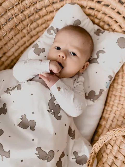 LULU - POŚCIEL DLA DZIECKA 80 X 100 WIEWIÓRKI BOHO