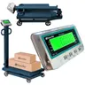 DY 5044 Waga mobilna magazynowa [600kg/200g] [50x70cm]