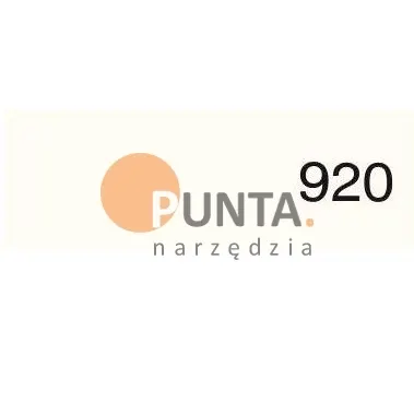 CleHo C22 Pisak retuszerski kryjący 920 biały alpejski RAL 9010
