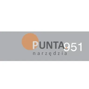 CleHo C22 Pisak retuszerski z farbą kryjącą kolor 951 RAL 9006