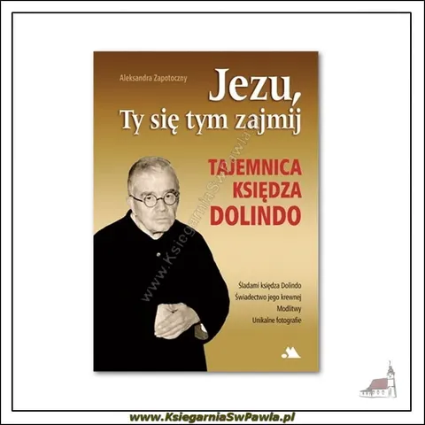 JEZU, TY SIĘ TYM ZAJMIJ. TAJEMNICA KS. DOLINDO
