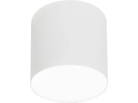 Lampa sufitowa, spot POINT PLEXI M biały