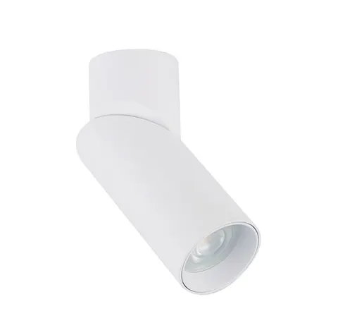 Biała lampa sufitowa reflektor punktowy regulowany Nowodvorski 7858 India GU10