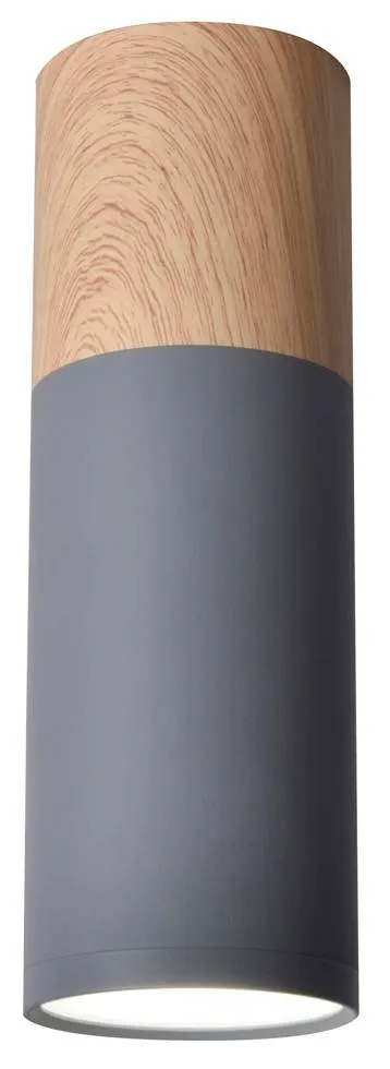 Lampa sufitowa, spot TUBA 20 szara