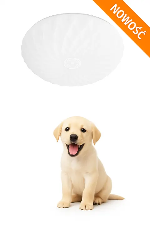Lampa sufitowa plafon AURIS S LED biały