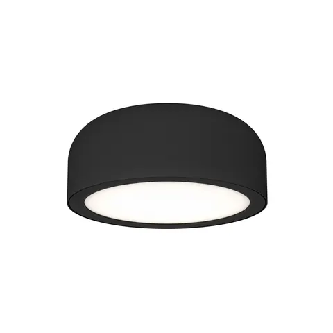 Cedrone PL Nero 12 CCT