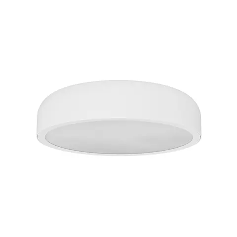 Cedrone PL Bianco 22 CCT