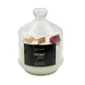 Świeca sojowa Gingerbread Cookies w naczyniu z pokrywką 220 ml