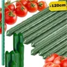 Tyczki do roślin pnących 120cm 10 szt. paliki do pomidorów do kwiatów tunel 11mm