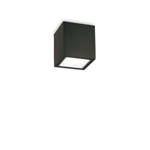Lampa sufitowa TECHO PL1 SMALL NERO 251578 Ideal lux