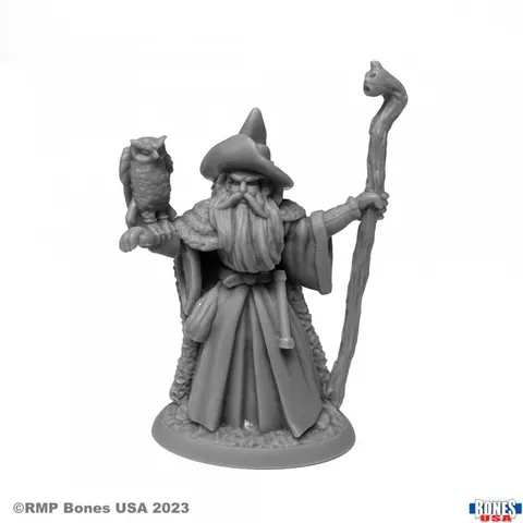 Reaper Miniatures: Amathor the Arch-Mage - Human Wizard