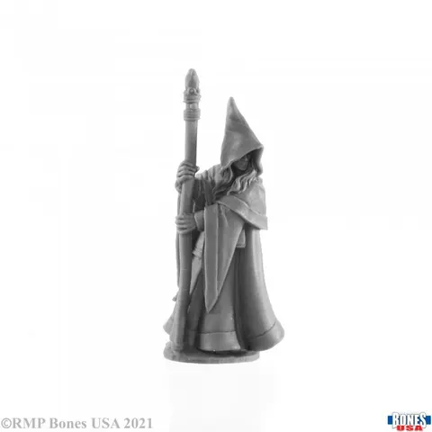 Reaper Miniatures: Anirion - Elf Wizard