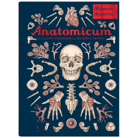 Anatomicum. Muzeum Anatomii