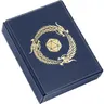 Pudełko Dragon Shield Dice Companion - niebieskie