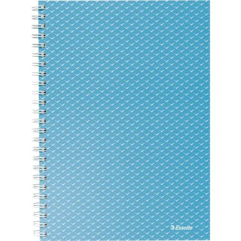 Kołonotatnik Colour`Breeze A5 w kratkę niebieski 628466 ESSELTE