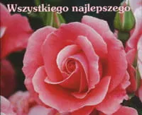 Wszystkiego najlepszego. Perełka 123