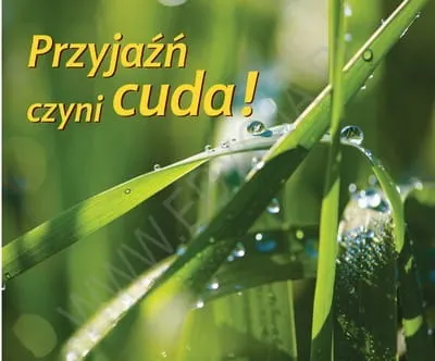 Przyjaźń czyni cuda. Perełka 140