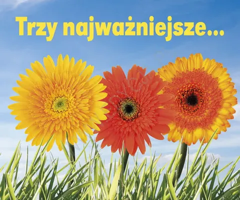 Trzy najważniejsze.... Perełka 142