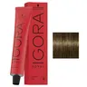 Schwarzkopf Igora Royal 6-4 Ciemny blond beżowy Profesjonalna farba do włosów 60ml
