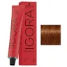 Schwarzkopf Igora Royal 6-77 Ciemny Blond Miedziany Extra Profesjonalna farba do włosów 60ml
