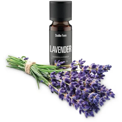 Stadler Form Lavender 10 ml - Olejek eteryczny