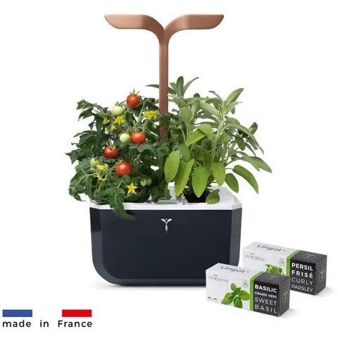 Véritable Exky SMART - czarny + 2 wkłady ziołowe - Automatyczna doniczka