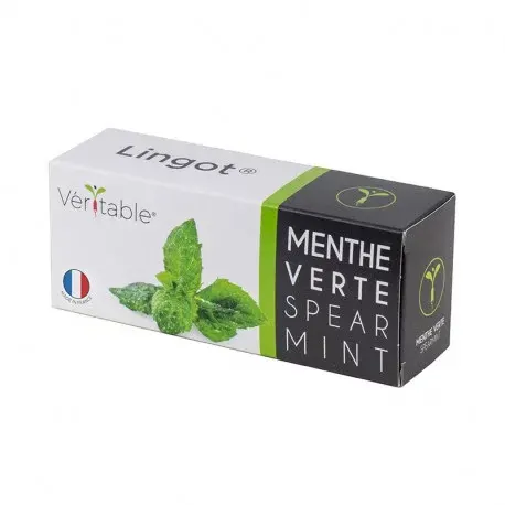 Véritable Lingot Mint