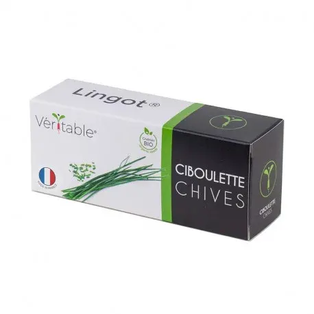Szczypiorek Véritable Lingot - organiczny