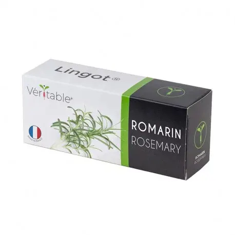 Véritable Lingot Rosemary
