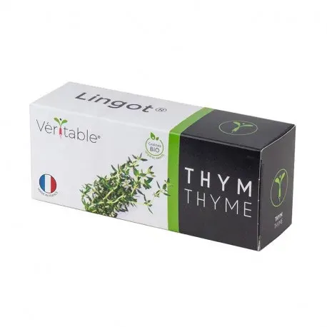 Véritable Lingot Thyme - BIO