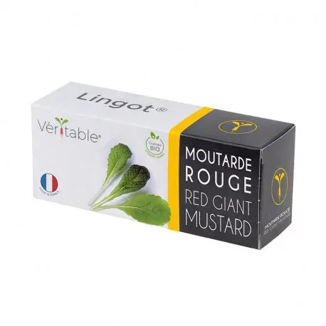 Véritable Lingot Musztarda czerwona liściasta - BIO