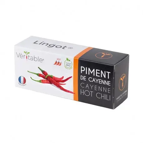 Véritable Lingot Cayenne ostre chili