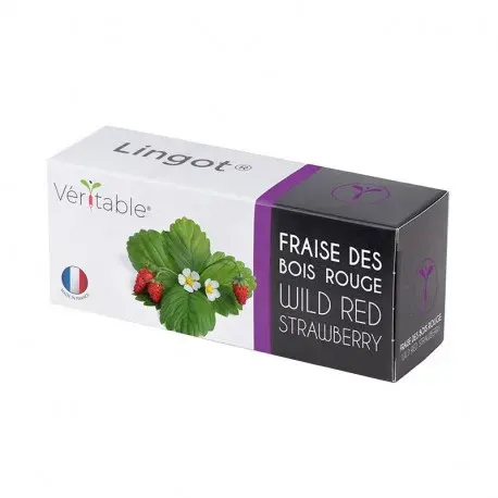 Dzikie czerwone truskawki Véritable Lingot
