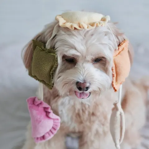 Pups & Bubs Zabawka węchowa dla psa - RAVIOLI